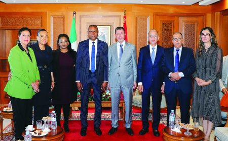 المملكة المغربية والتعاون القضائي الإفريقي.. شراكة استراتيجية من أجل تطوير عدالة القارة