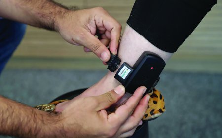 العقوبات البديلة من الإصلاح التشريعي إلى التنزيل القضائي