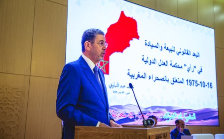 محمد عبد النباوي يحاضر في موضوع البيعة والسيادة في فتوى محكمة العدل الدولية حول الصحراء المغربية