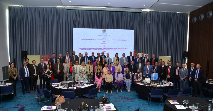 تطوير العدالة الجنائية.. دورة تكوينية لتعزيز وسائل الإثبات في قضايا العنف ضد النساء