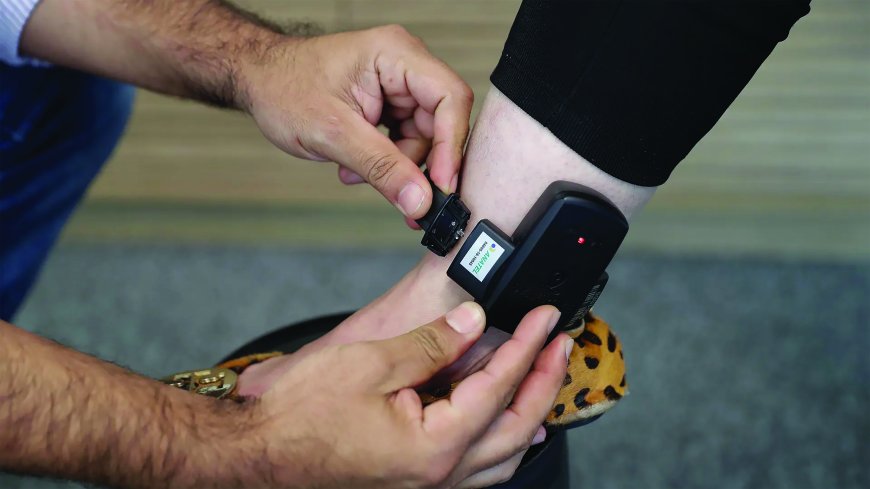 العقوبات البديلة من الإصلاح التشريعي إلى التنزيل القضائي