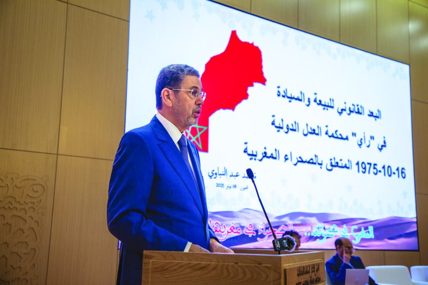 محمد عبد النباوي يحاضر في موضوع البيعة والسيادة في فتوى محكمة العدل الدولية حول الصحراء المغربية