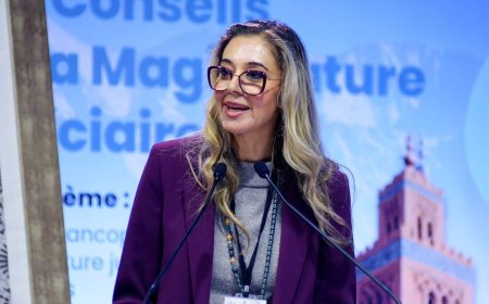 الأستاذة آمال المنيعي