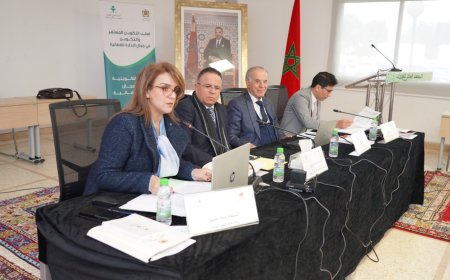 تنظيم دورة تكوينية عن بعد حول التوجهات العامة للسياسة الجنائية