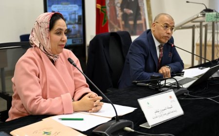 المعهد العالي للقضاء يطلق دورات تكوينية حول إدارة الأزمات داخل المحاكم لتعزيز النجاعة القضائية
