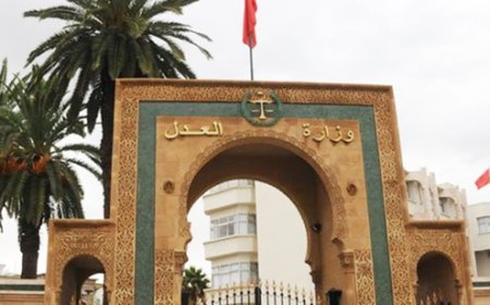 وزارة العدل تحذر من "رسائل احتيالية" بخصوص غرامات السير وتكشف عن موقع مزيف ينتحل صفتها