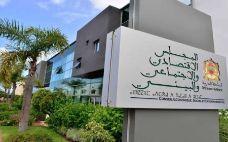 المجلس الاقتصادي والاجتماعي والبيئي يعقد دورته الـ179 ويصادق بالإجماع على مشروع إحداث الوكالة الوطنية لحماية الطفولة