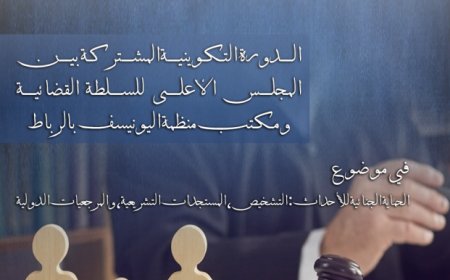 طنجة تحتضن دورة تكوينية رفيعة لتعزيز عدالة الأحداث وترسيخ المقاربة الإنسانية في الحماية الجنائية للطفل