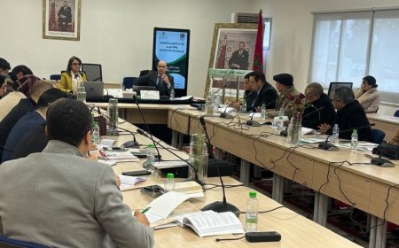 تقنيات البحث الخاصة في ضوء مستجدات قانون المسطرة الجنائية