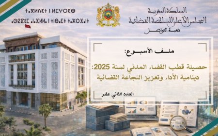 حصيلة قطب القضاء المدني لسنة 2025:  دينامية الأداء وتعزيز النجاعة القضائية