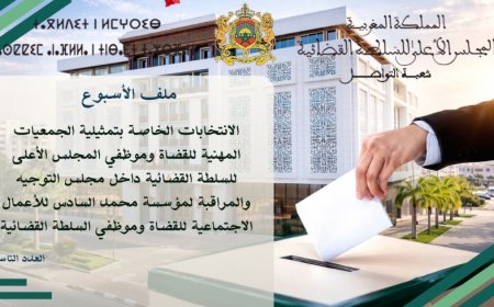 الانتخابات الخاصة بتمثيلية الجمعيات المهنية للقضاة وموظفي المجلس الأعلى للسلطة القضائية داخل مجلس التوجيه والمراقبة لمؤسسة محمد السادس للأعمال الاجتماعية للقضاة وموظفي السلطة القضائية
