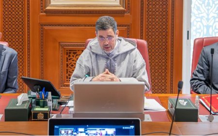 الرئيس المنتدب يعقد لقاء تواصليا مع مترشحي الجمعيات المهنية للقضاة حول منصة التصويت الإلكتروني