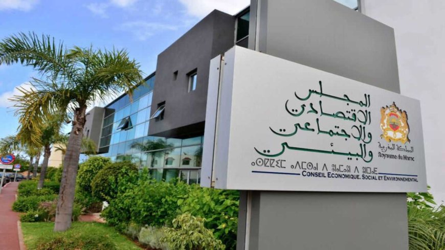 المجلس الاقتصادي والاجتماعي والبيئي يعقد دورته الـ179 ويصادق بالإجماع على مشروع إحداث الوكالة الوطنية لحماية الطفولة
