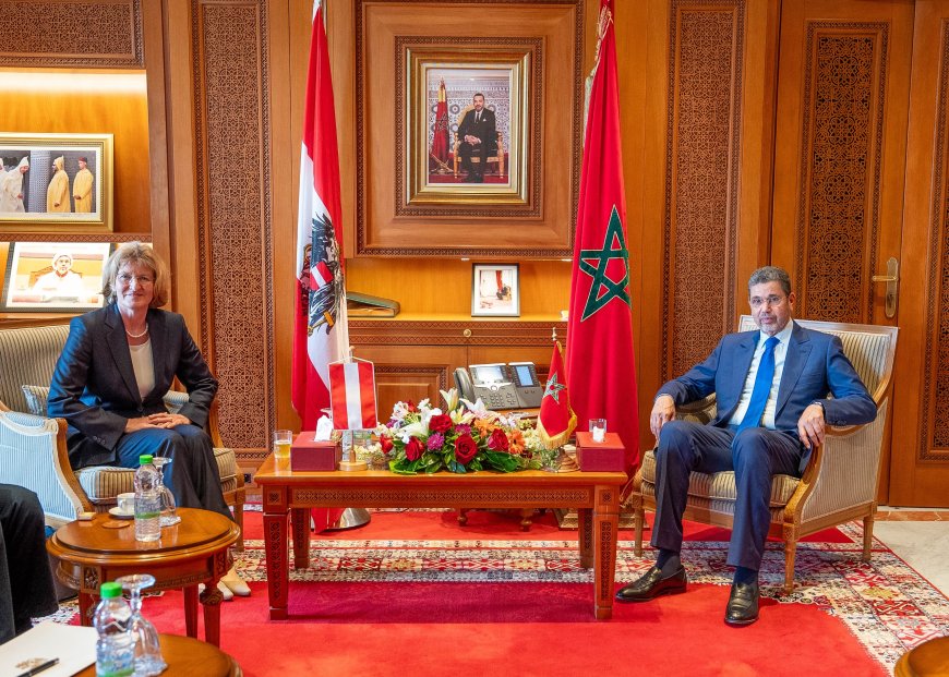 السيد الرئيس المنتدب للمجلس الأعلى للسلطة القضائية يستقبل المدعية العامة لجمهورية النمسا.