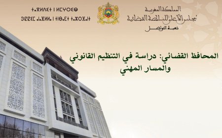 المحافظ القضائي: دراسة في التنظيم القانوني والمسار المهني