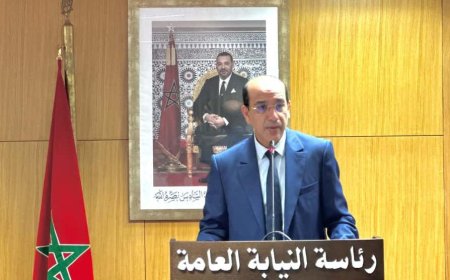 رئاسة النيابة العامة تصدر دورية جديدة حول الإشعار بالحفظ عبر رسائل نصية أو البريد الإلكتروني